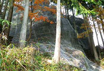 rope net