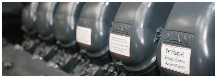 wooden biomass gasification