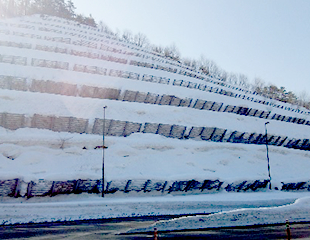 Avalanche hazard prevention fence