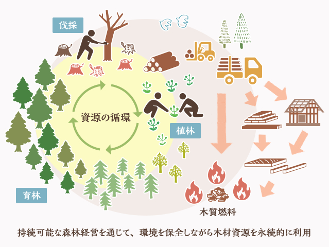 地域木質バイオマス資源の有効活用