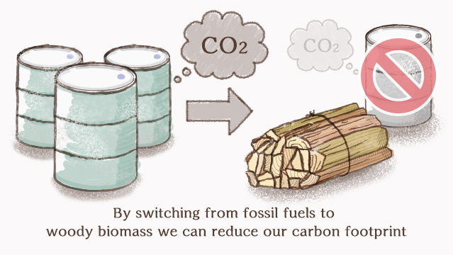 Switching from fossil fuels to woody biomass