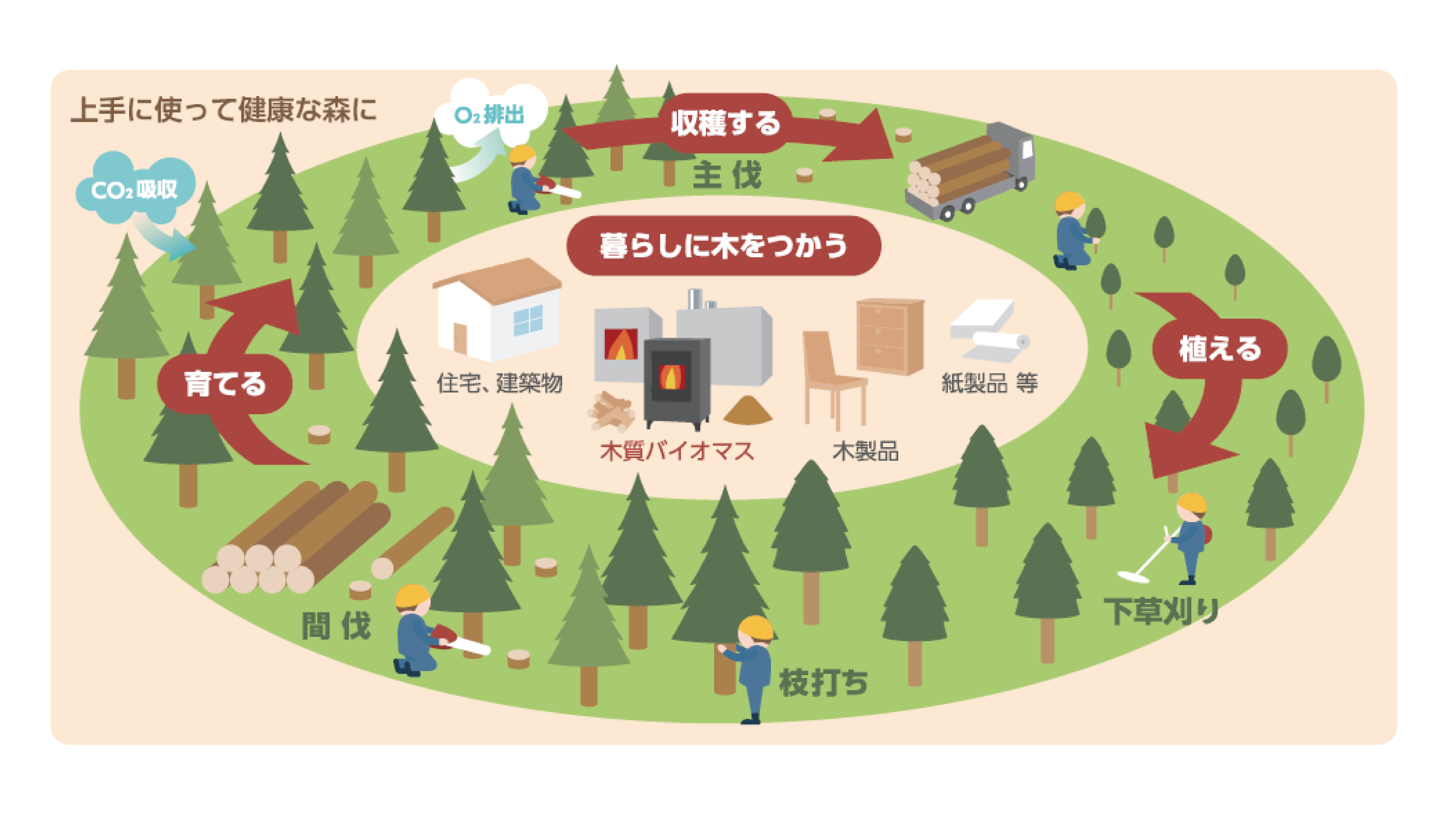 国産材を活用して地方創生を図る